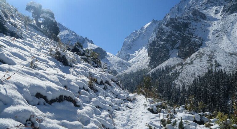 Ala Archa Nature Tour from Bishkek