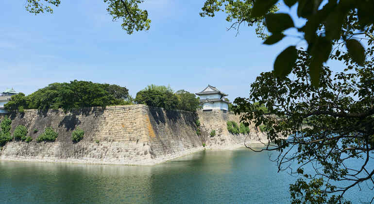Osaka: Visita guidata alla storia del castello con biglietto d'ingresso