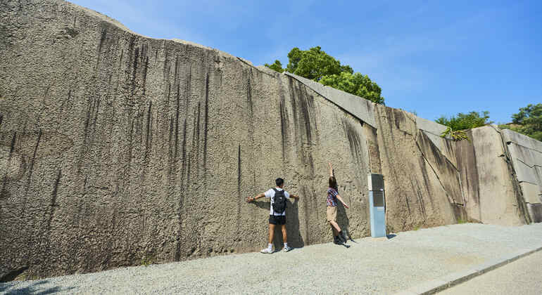 Osaka: Visita guidata alla storia del castello con biglietto d'ingresso
