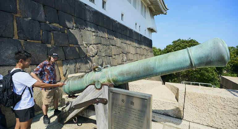 Osaka: Visita guidata alla storia del castello con biglietto d'ingresso
