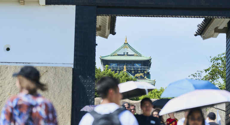 Osaka: Visita guidata alla storia del castello con biglietto d'ingresso