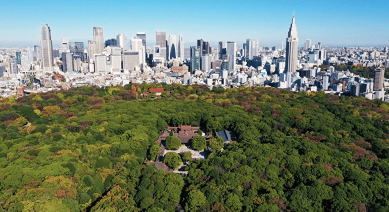 Tokyo : Visite du sanctuaire Meiji : Shinto et système impérial
