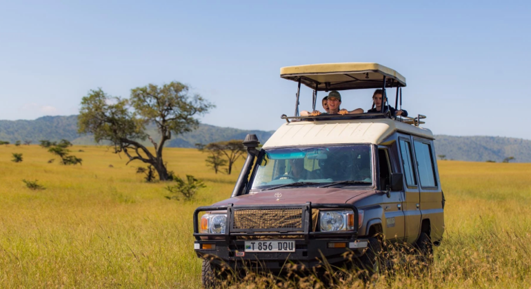 Tour di un giorno del cratere di Ngorongoro a Karatu