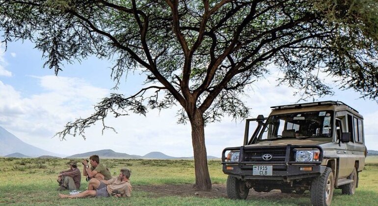 Tour di un giorno del cratere di Ngorongoro a Karatu