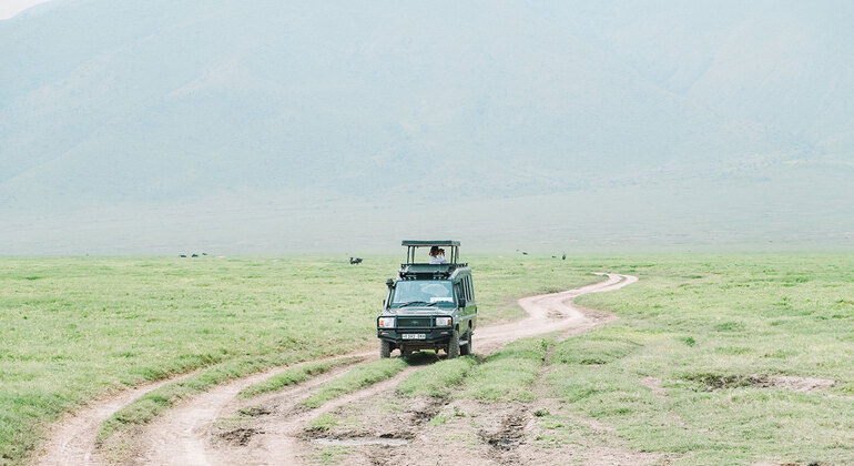 Tour di un giorno del cratere di Ngorongoro a Karatu