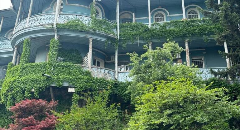 Feel Tbilisi Like a Local