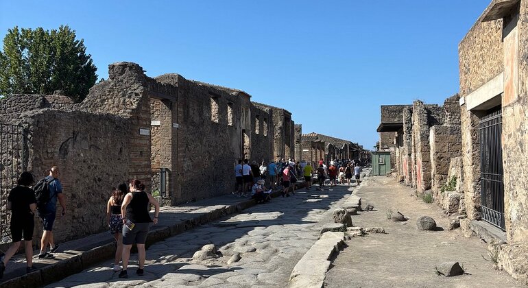 Tour di Pompei da Napoli con guida, autista e biglietto d'ingresso