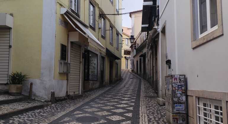 Tour di mezza giornata di Sintra
