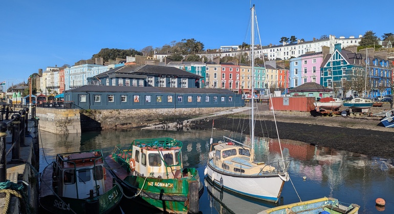 Visita histórica de Cobh con la catedral de San Colman