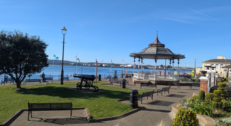 Visita histórica de Cobh con la catedral de San Colman