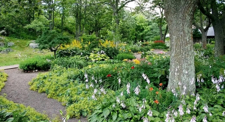 Private Walking Tour of Legends, History, and Nature in Agronomía
