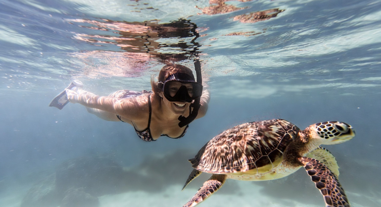 Visite du parc national de l'île de Coiba avec masque et tuba