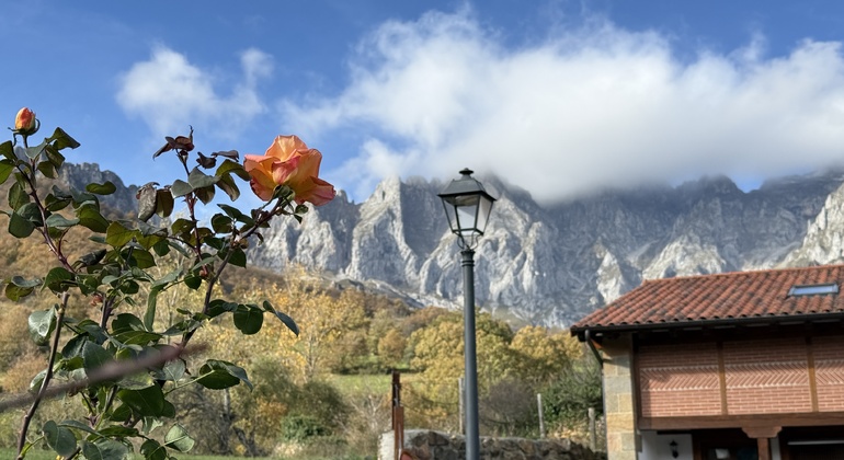 Excursion to Mogrovejo and Potes: Heidi's Landscape in Picos de Europa