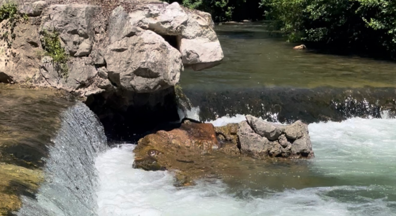 Excursion to Mogrovejo and Potes: Heidi's Landscape in Picos de Europa