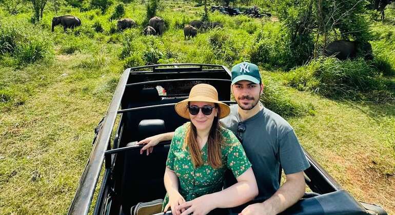 Private Kandy to Sigiriya and Minneriya Safari Day Tour