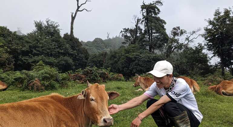 a Pa: Fansipan Peak One Day Trek mit lokalem Führer