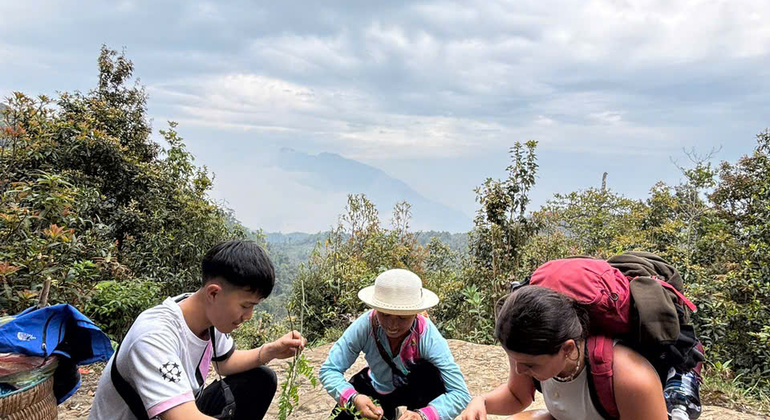 a Pa: Fansipan Peak One Day Trek mit lokalem Führer