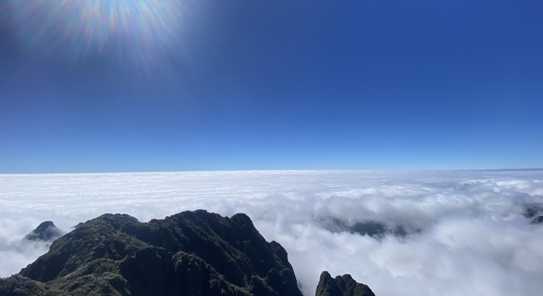 a Pa: Fansipan Peak One Day Trek mit lokalem Führer