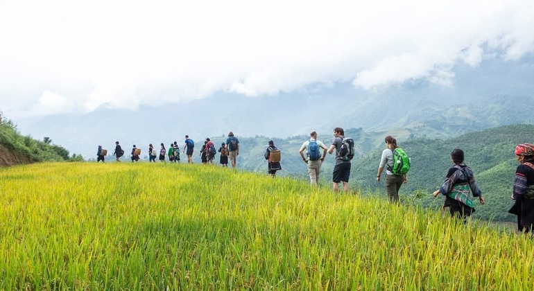 Sa Pa Ein-Tages-Trek durch ethnische Dörfer und Reisterrassen