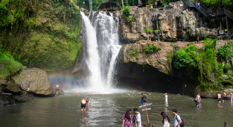 Tour di un giorno a Cascata-Tempio sacro-Terrazza del riso e Foresta delle scimmie