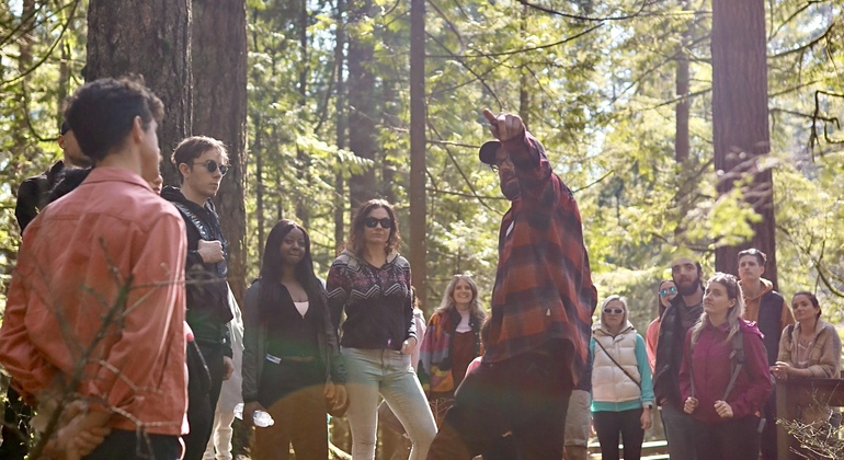 Escursione Grouse Grind e Lynn Canyon