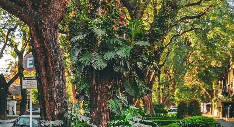 Private Walking Tour of History & Nature in Belgrano