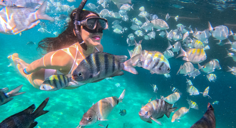 Angra dos Reis: Un tour unico in paradiso