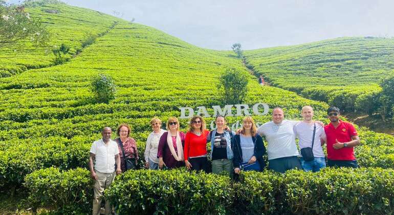 Nuwara Eliya Private Day Tour from Kandy