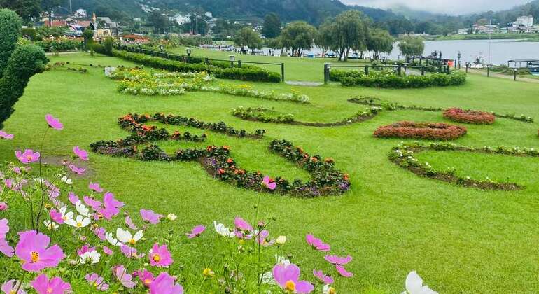 Nuwara Eliya Private Day Tour from Kandy