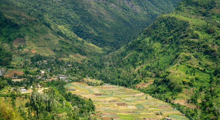 Nuwara Eliya Private Day Tour from Kandy