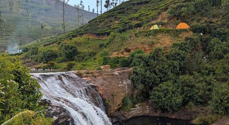 Nuwara Eliya Private Day Tour from Kandy