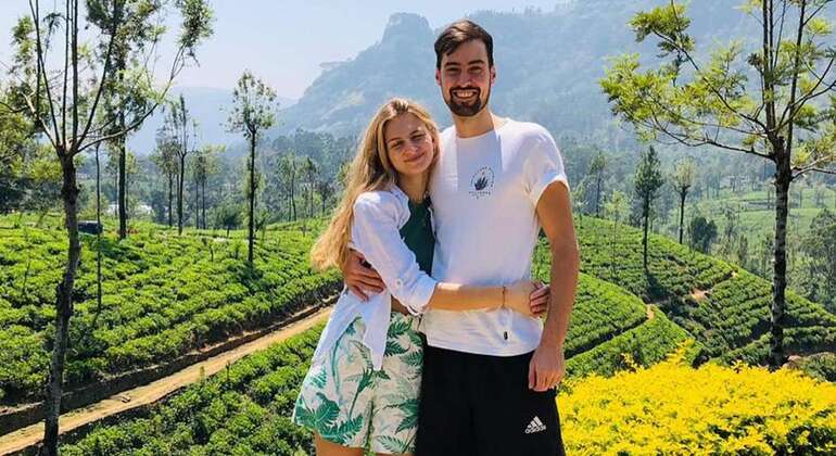Nuwara Eliya Private Day Tour from Kandy