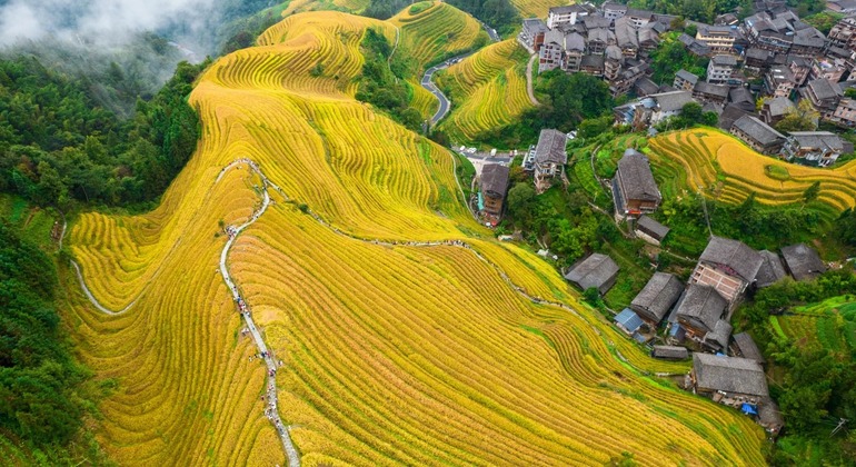 Von Guilin aus: Eintägige private Longji-Reisterrassen-Tour