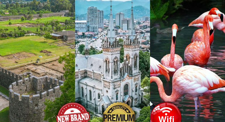 Da Kutaisi: Batumi, Parco Dendrologico e Gonio Fortres