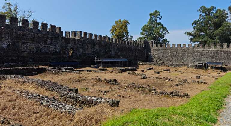 Da Kutaisi: Batumi, Parco Dendrologico e Gonio Fortres