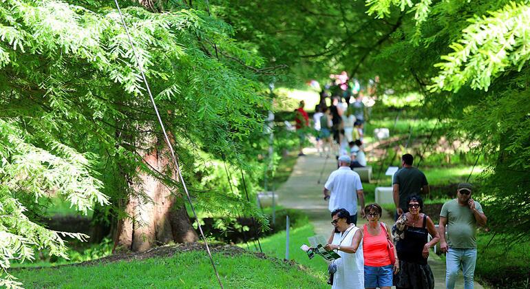 Da Kutaisi: Batumi, Parco Dendrologico e Gonio Fortres