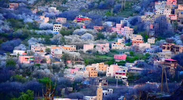 Tour da Marrakech alle montagne dell'Atlante: Escursione, cascata e pranzo berbero
