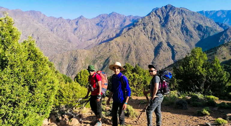 Tour da Marrakech alle montagne dell'Atlante: Escursione, cascata e pranzo berbero