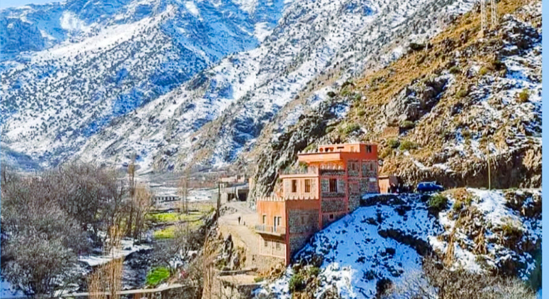 Tour da Marrakech alle montagne dell'Atlante: Escursione, cascata e pranzo berbero