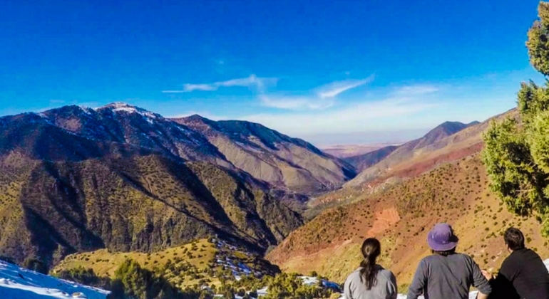 Tour da Marrakech alle montagne dell'Atlante: Escursione, cascata e pranzo berbero