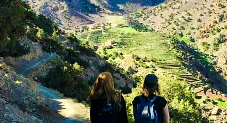 Tour da Marrakech alle montagne dell'Atlante: Escursione, cascata e pranzo berbero