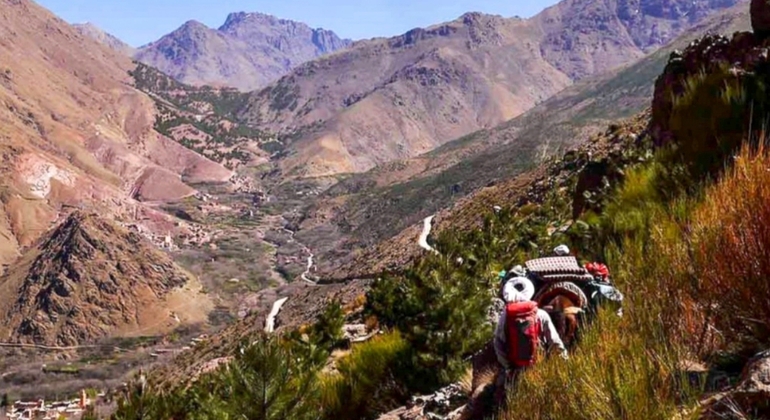 Tour da Marrakech alle montagne dell'Atlante: Escursione, cascata e pranzo berbero