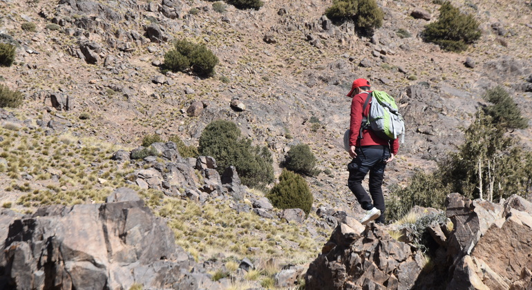 Tour da Marrakech alle montagne dell'Atlante: Escursione, cascata e pranzo berbero