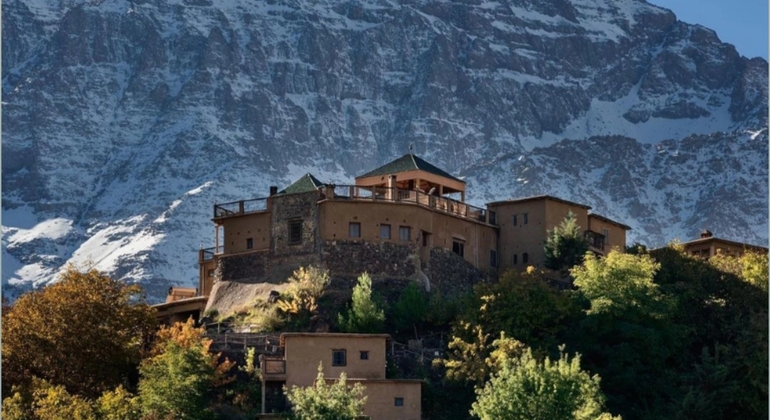 Tour da Marrakech alle montagne dell'Atlante: Escursione, cascata e pranzo berbero