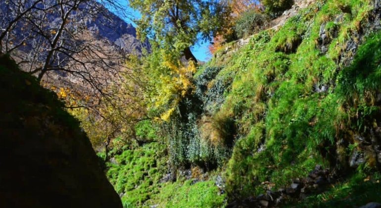 Tour da Marrakech alle montagne dell'Atlante: Escursione, cascata e pranzo berbero