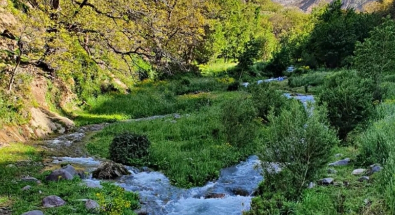 Tour da Marrakech alle montagne dell'Atlante: Escursione, cascata e pranzo berbero