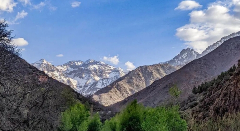 Tour da Marrakech alle montagne dell'Atlante: Escursione, cascata e pranzo berbero