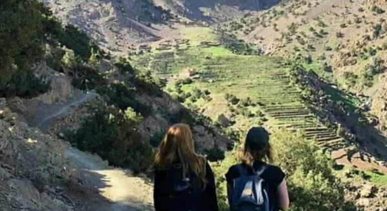 Tour da Marrakech alle montagne dell'Atlante: Escursione, cascata e pranzo berbero
