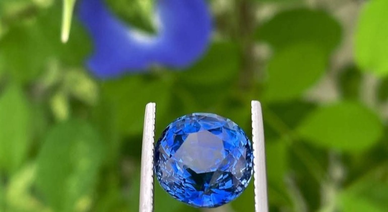 Elahera Gem Mining Tour