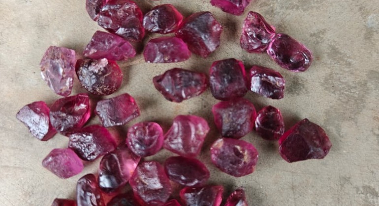 Elahera Gem Mining Tour